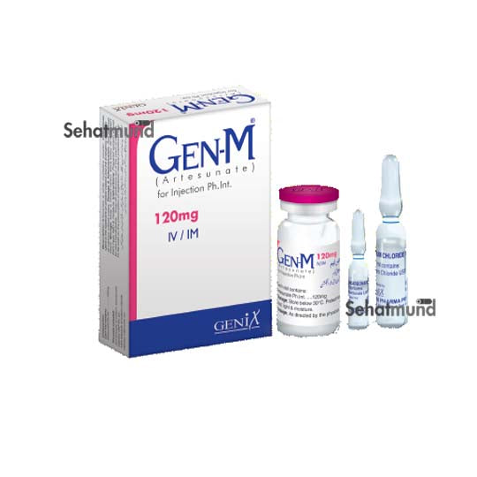 Gen-M IM/IV Injection 120mg