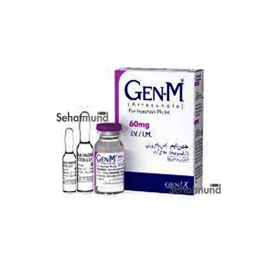 Gen-M IM/IV Injection 60mg