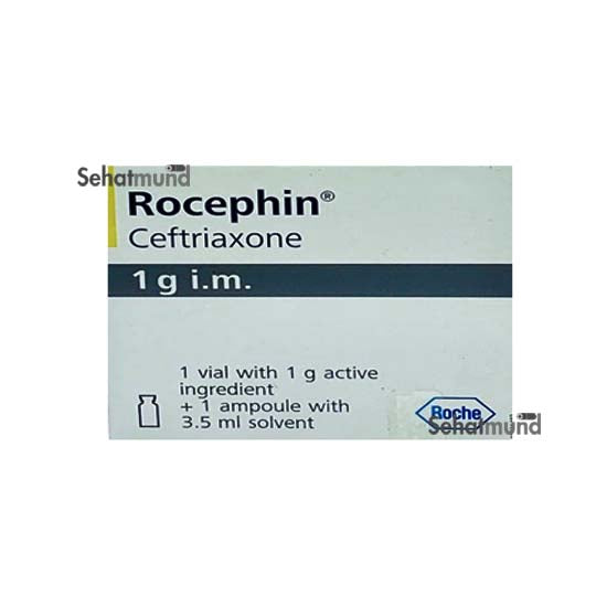 Rocephin IM Injection 1g